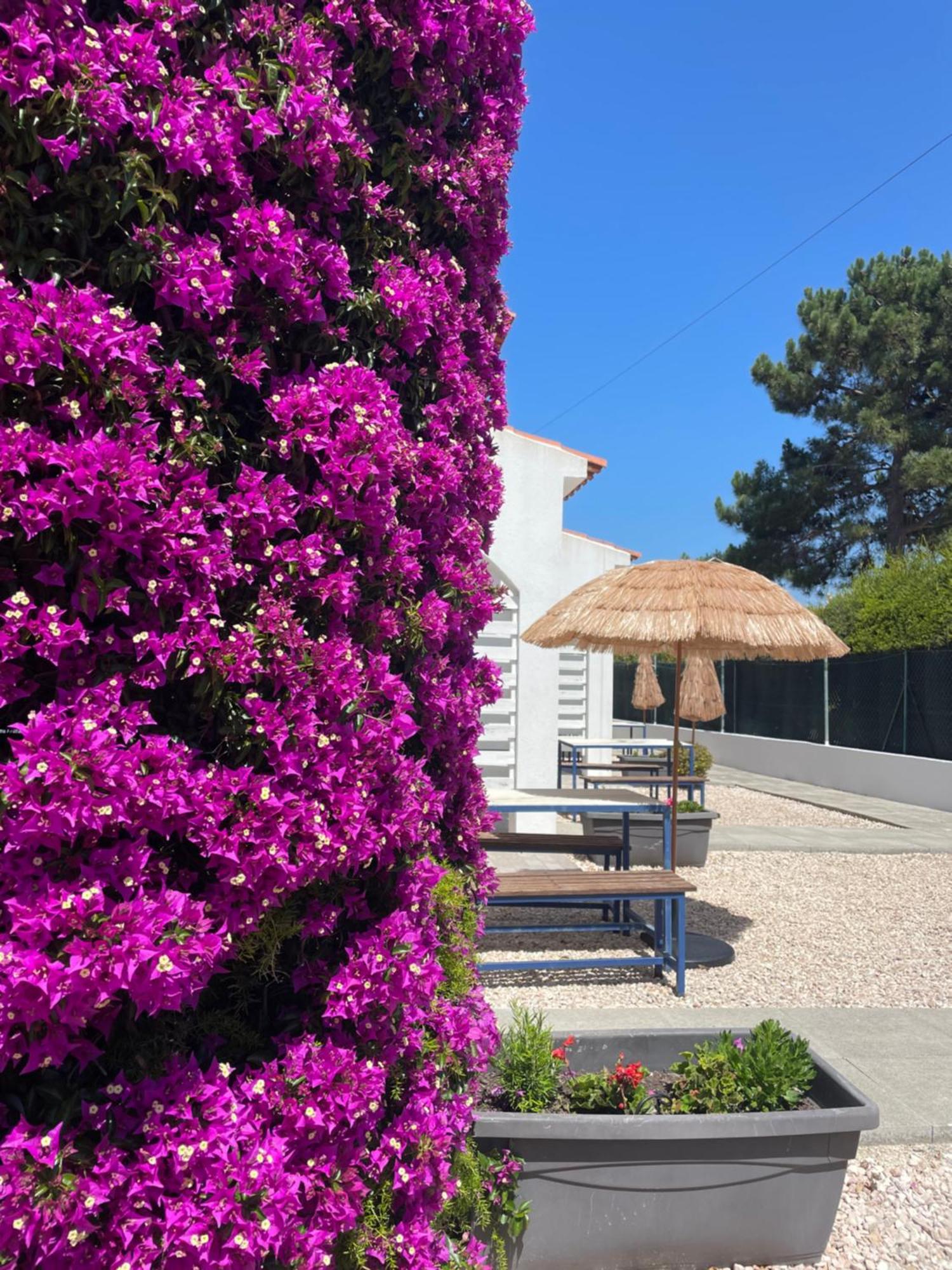 California Dream Inn Алжезур Экстерьер фото